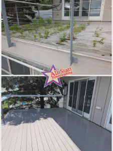 Deck Cleaning