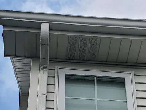 Gutter Cleaning & Brightening in the Freeland, MI Area Gutter Cleaning & Brightening in the Freeland, MI Area
