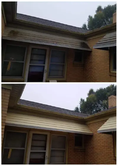 Siding & House Washing