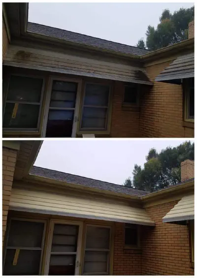 Siding & House Washing