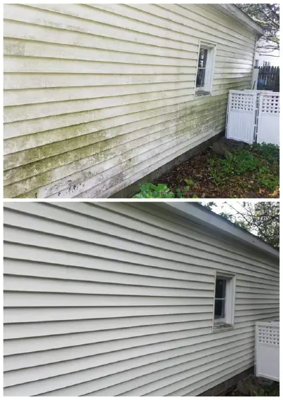 Siding & House Washing