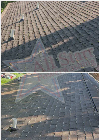 Roof Cleaning (Treatments)