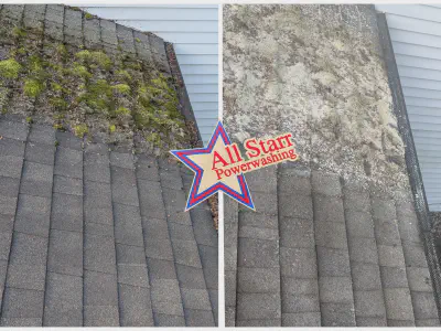 Roof Cleaning (Treatments)