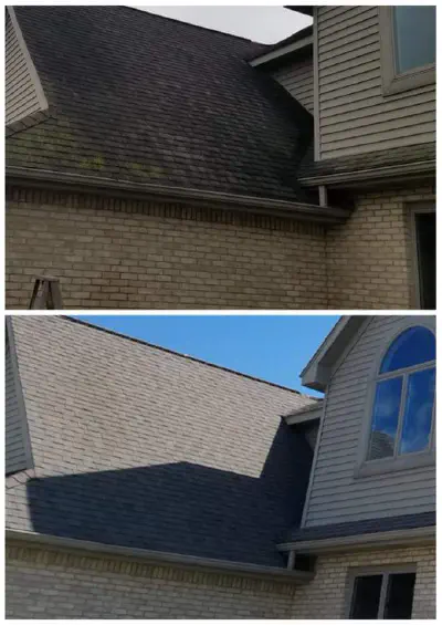 Roof cleaning